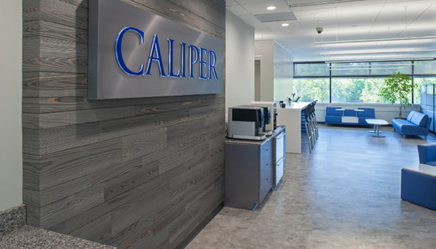 Caliper International Office Fitout